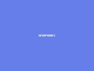 Wireless Bluetooth Headphones